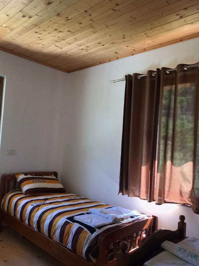 Elvis Blini Thethi Hotell Exteriör bild