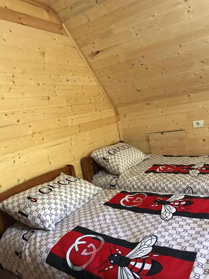 Elvis Blini Thethi Hotell Exteriör bild