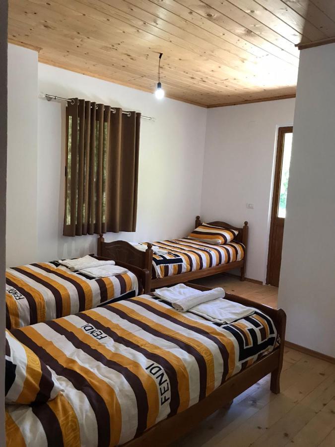 Elvis Blini Thethi Hotell Exteriör bild