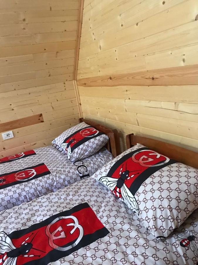Elvis Blini Thethi Hotell Exteriör bild