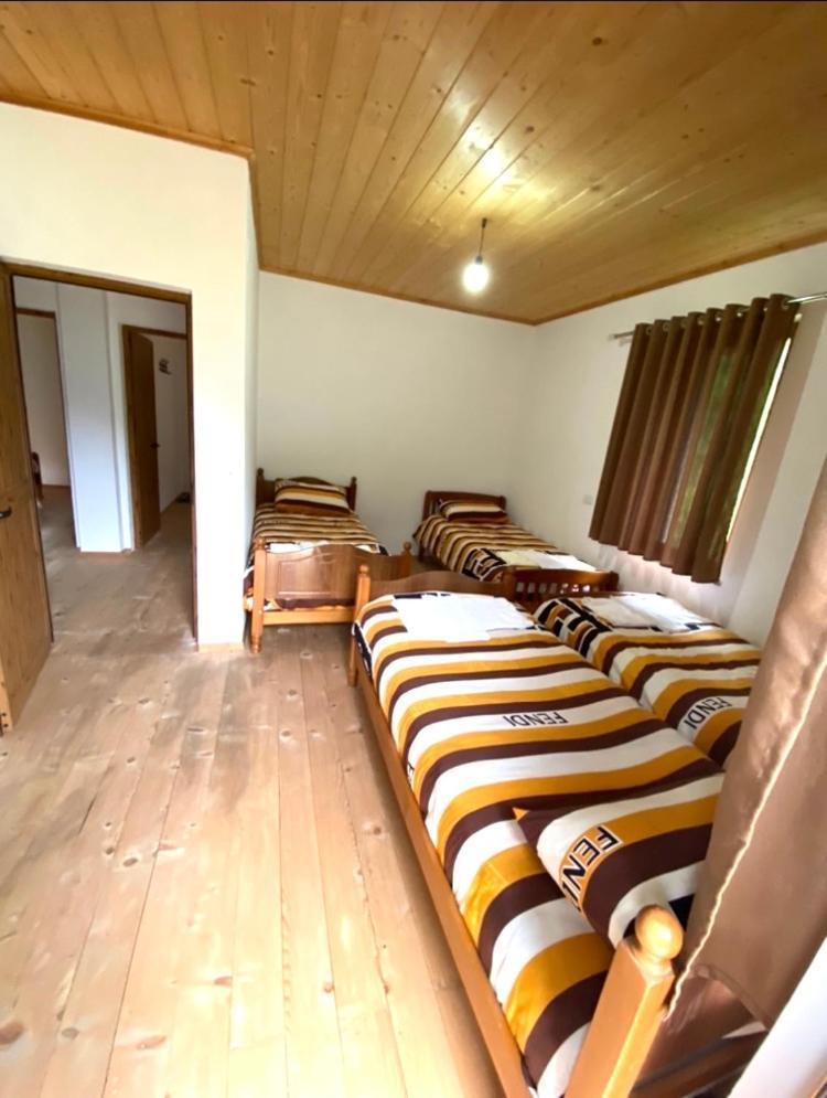 Elvis Blini Thethi Hotell Exteriör bild
